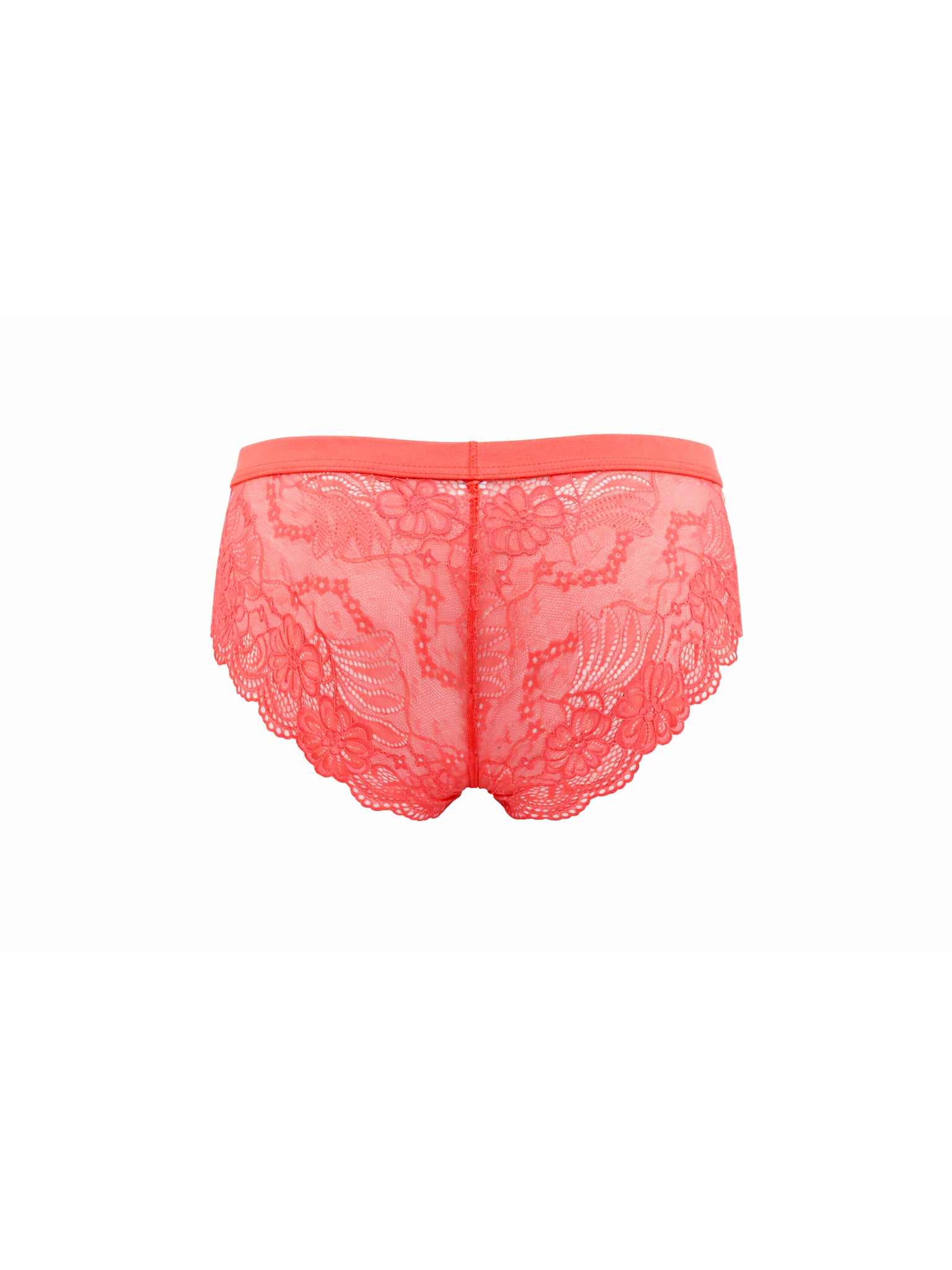 Coral lace underwear on a white background