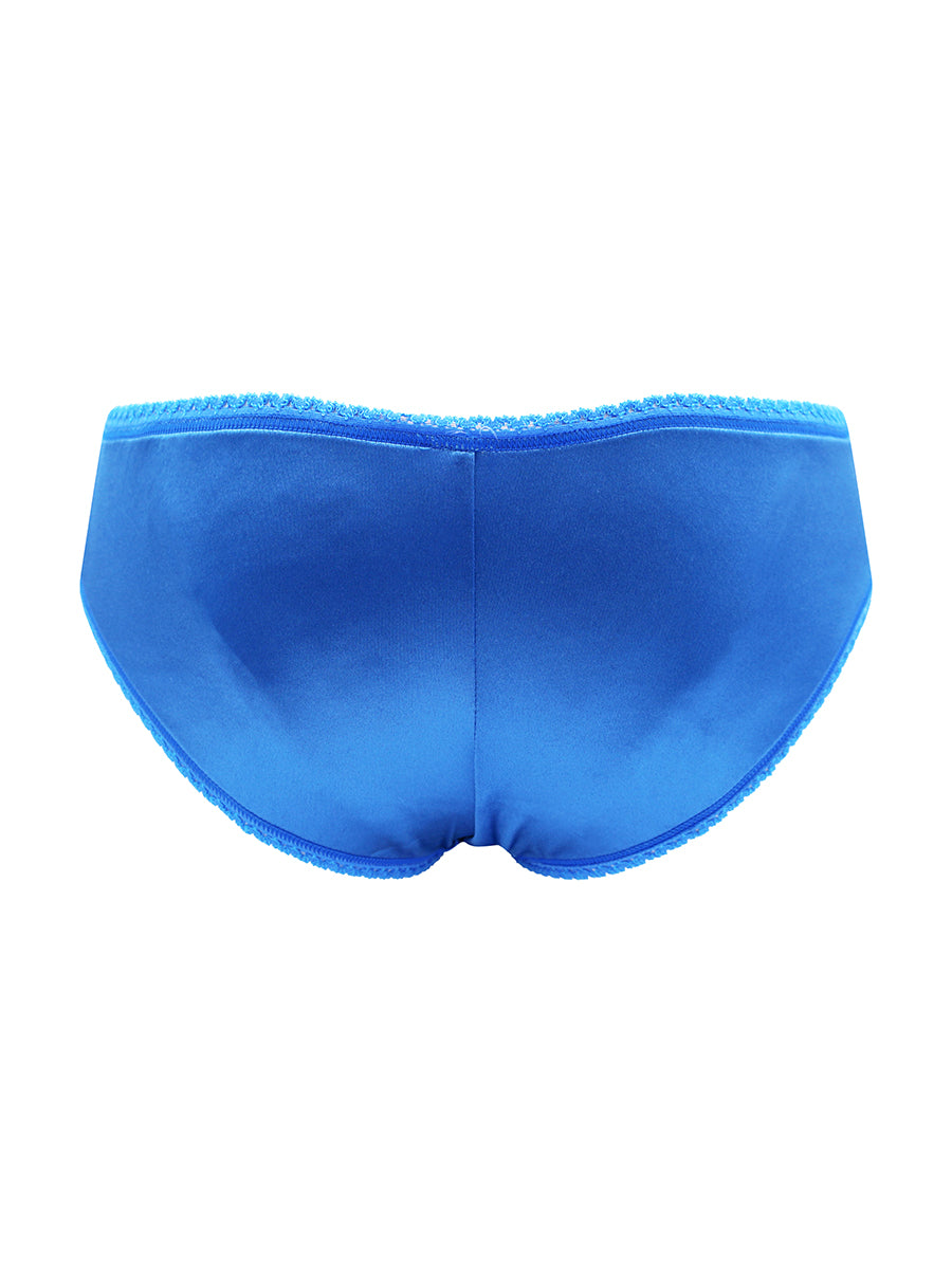 Back view of blue men's satin panties against a white background.